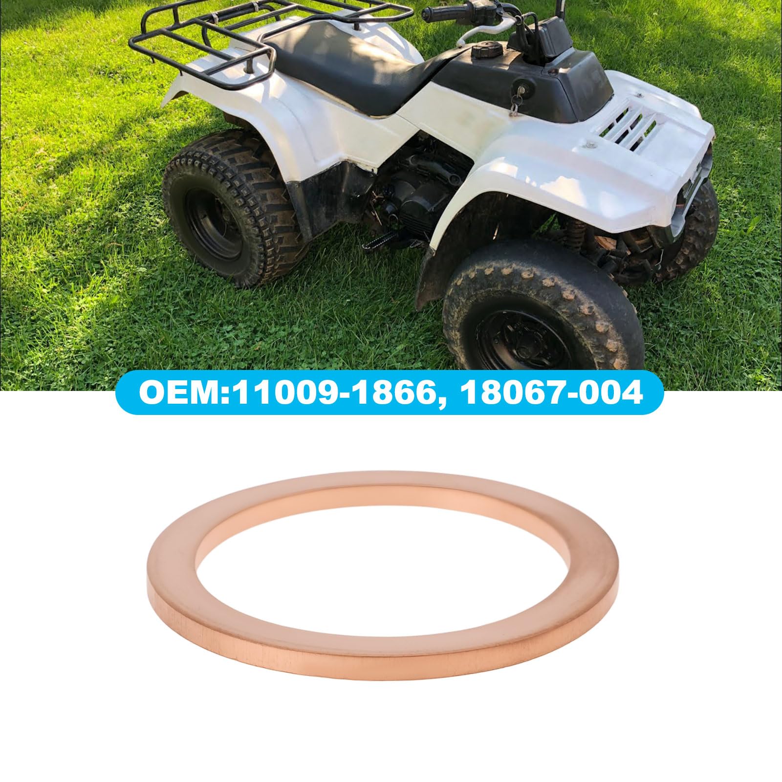 SING F LTD 2Pcs Exhaust Gasket 39x31.6x2mm 11009-1866 Compatible